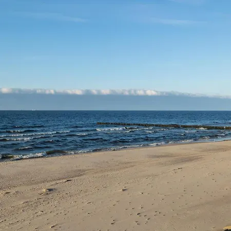 Gardenia Wydma Morska 2 D&d * Dziwnów