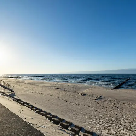 Gardenia Wydma Morska 2 D&d *