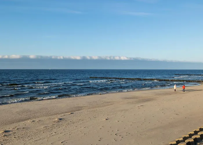 Gardenia Wydma Morska 2 D&d * Dziwnów