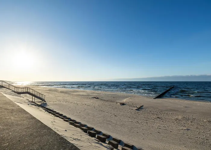 Gardenia Wydma Morska 2 D&d *